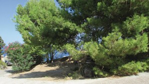 A natural landscape with a dirt path leading to a rocky area, surrounded by dense green trees. - 1 bedroom beautiful home in Calvi (Calvi)