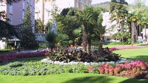 A landscaped garden with a fountain, palm trees, and a statue.