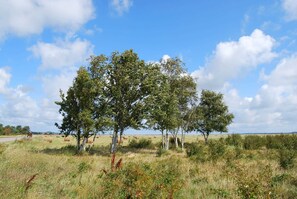 Uklassifisert bilde, 5 av 7, knapp