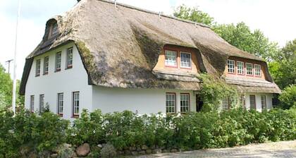 Charmante Ferienwohnung am Mühlendeich