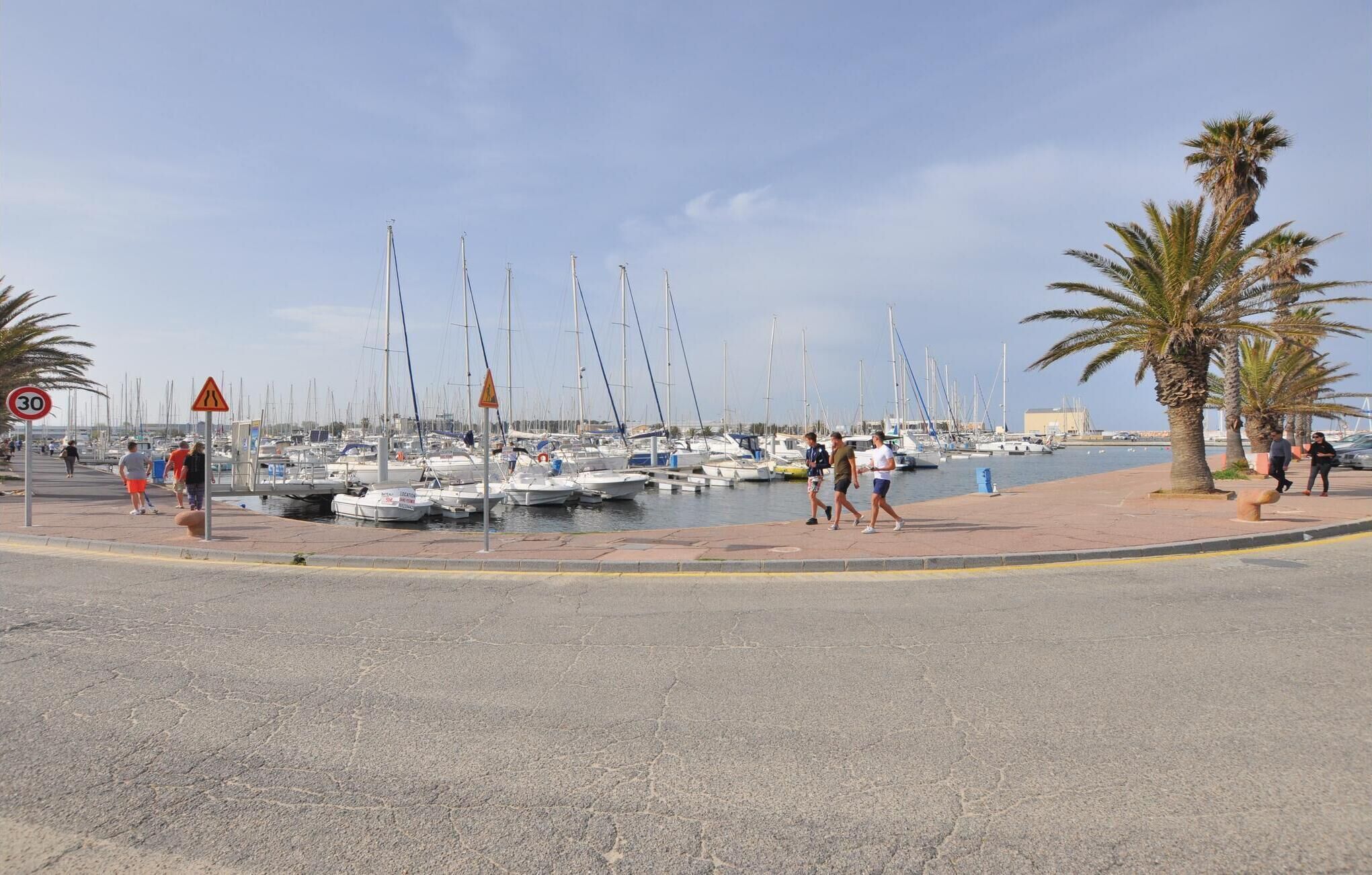 A marina with numerous sailboats docked, a pedestrian pathway, and palm trees.