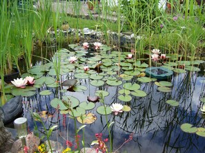 Image sans description, 4 de 13, bouton