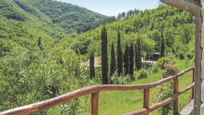 Un paysage verdoyant et luxuriant, avec une clôture en bois, une route et un bâtiment visible au loin.
