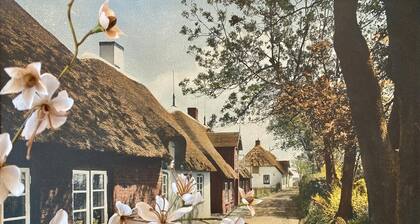 3-Zimmerwohnung Nr. 3 (32a) - Haus Ziemer