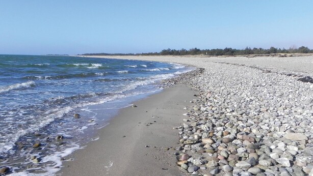 Ein kiesiger Strand mit Wellen, blauem Himmel und Bäumen in der Ferne.