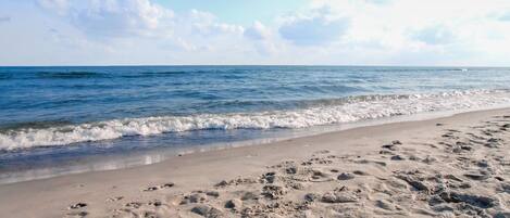 Playa en los alrededores y pesca