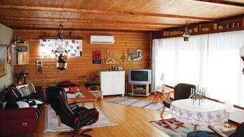 Tv, eldstad och dvd-spelare