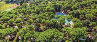 Pet friendly home in Belvedere di Aquileia with swimming pool