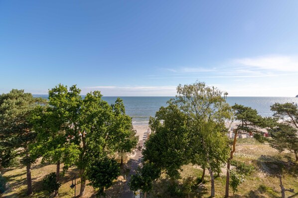 Nära stranden
