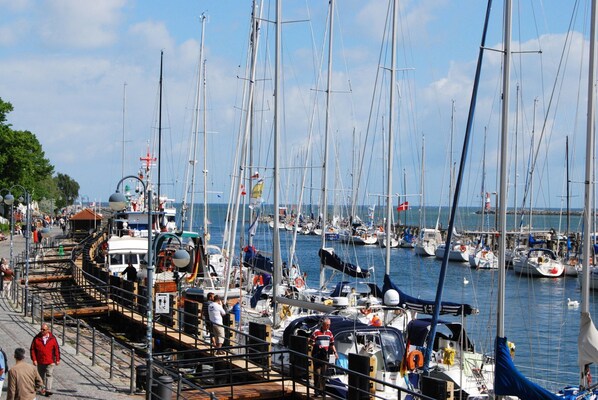 Unclassified image, 1 of 17, button