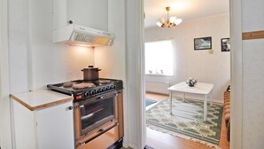 A compact kitchen with a stove, oven, and a ceiling-mounted ventilation hood.