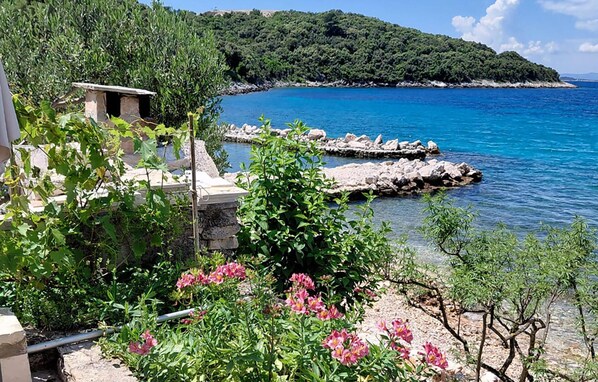 Terrain de l’hébergement 