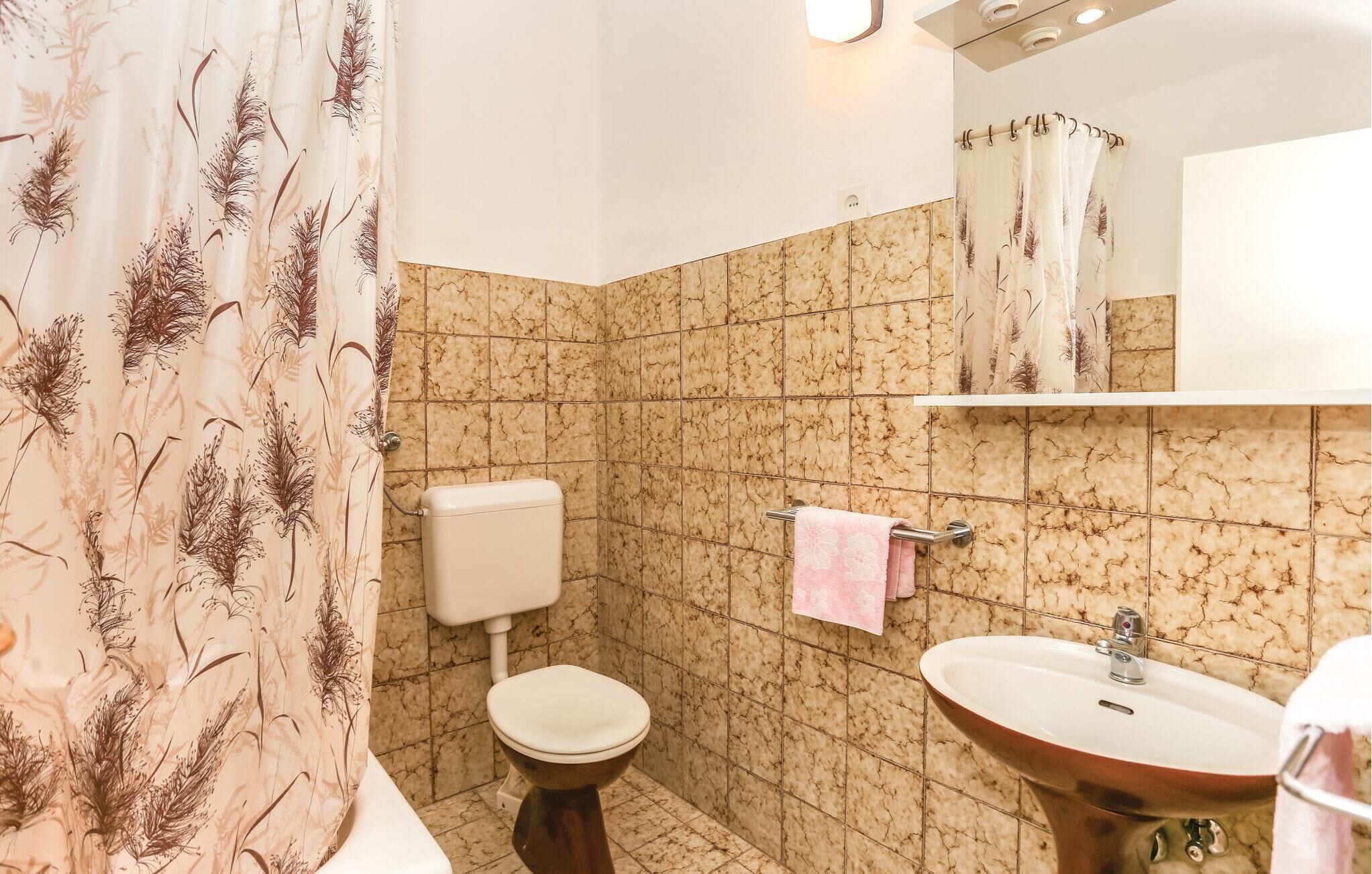 A bathroom with a toilet, sink, and shower curtain with a feather pattern.