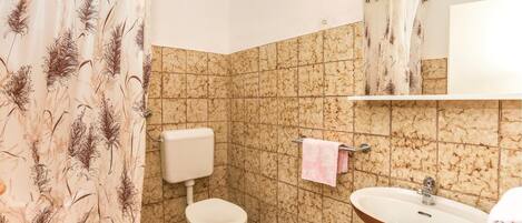 A bathroom with a toilet, sink, and shower curtain with a feather pattern.