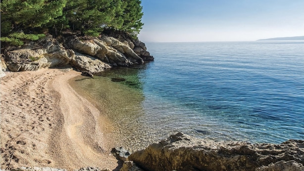 A rocky beach with clear water and dense green trees. - 3 bedroom beautiful apartment in Omis (Omis)