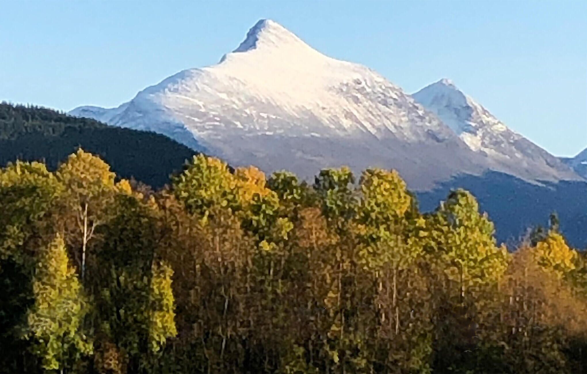 A mountain with a snow-capped peak and a forested foreground.