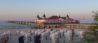 Butcher, Villa Ilona - Apartment Villa Ilona