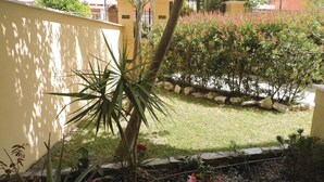 Un jardin où l’on trouve une variété de plantes, un petit arbre et un mur de pierres.