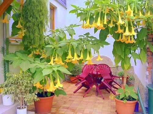 Ferienwohnung Ilvers - Ferienwohnung Ilvers EG