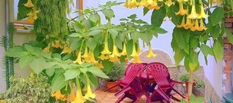 Apartment Ilvers EC  - アパートメントIlvers