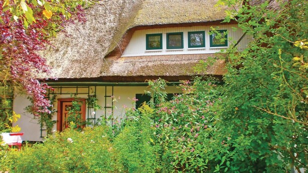 Ein traditionelles Reetdachhaus mit Holztür und -fenstern, umgeben von üppigem Grün und blühenden Pflanzen.