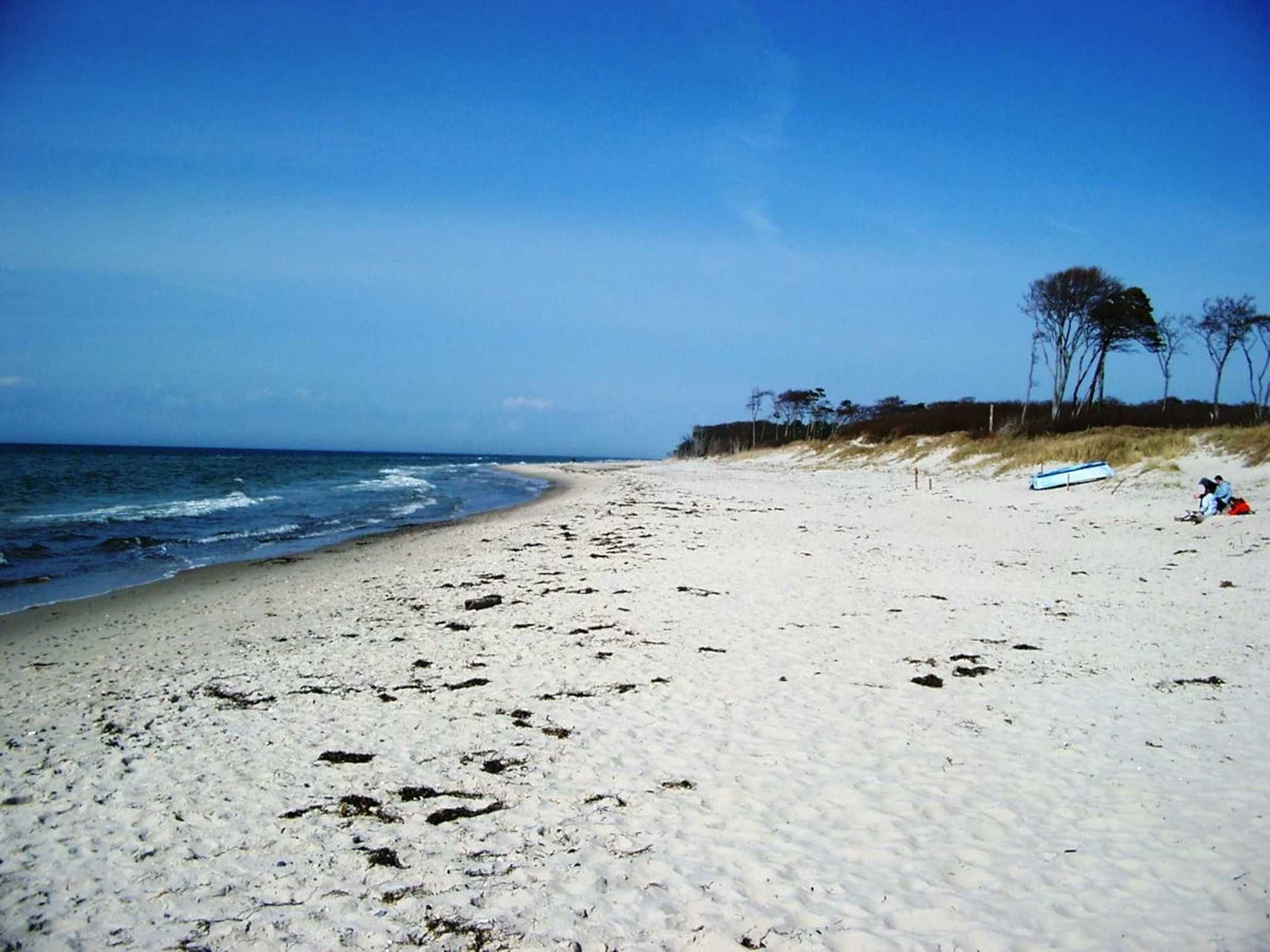 Une plage de sable blanc, un ciel bleu azur et quelques arbres en arrière-plan.