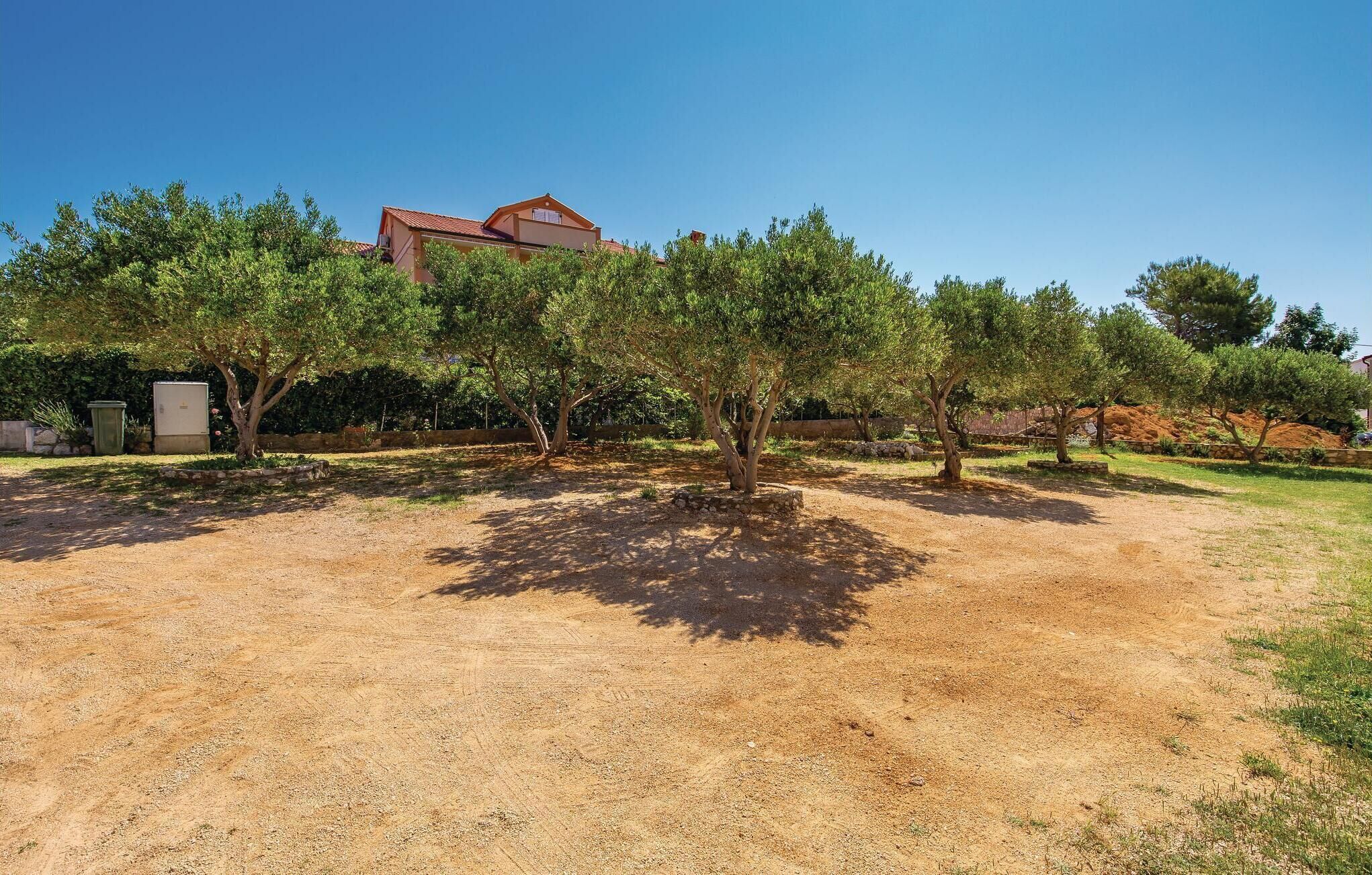 Il s’agit d’une propriété dont le sol est en terre, qui compte plusieurs arbres et, au fond, un bâtiment surmonté d’un toit rouge.