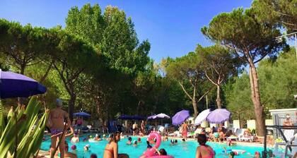 Mobil-home avec climatisation