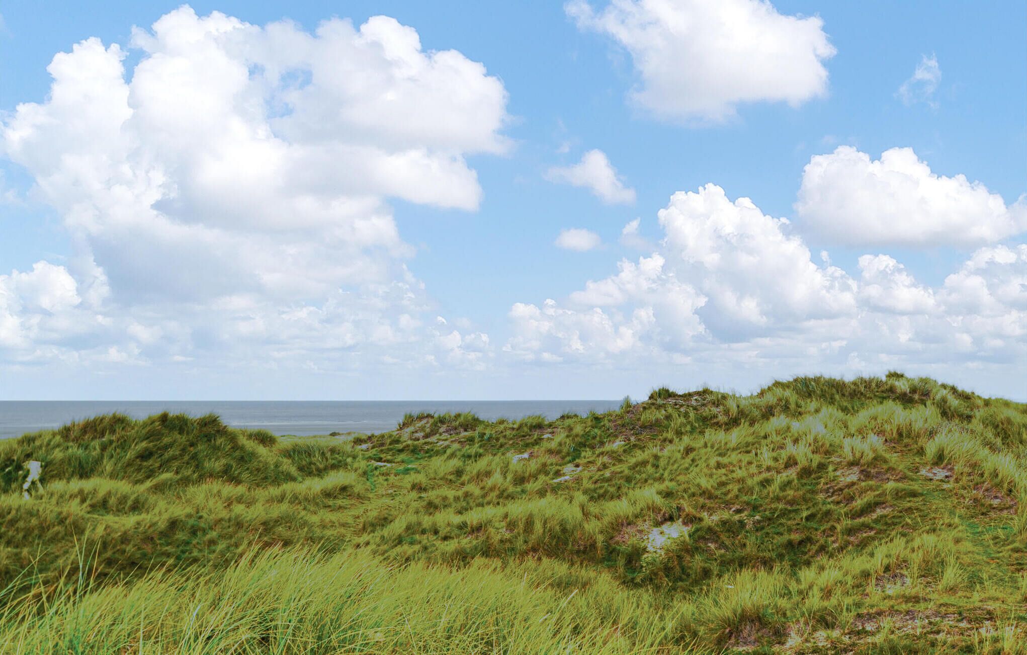 A coastal landscape with grassy dunes and a clear sky.