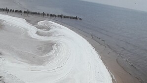 Une plage avec une vaste étendue de mousse blanche ou de sable.
