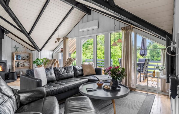 Télévision, cheminée, lecteur de DVD