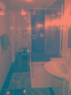 A bathroom with a glass shower enclosure, a sink, and a toilet. - Apartment Ursula - Apartment 1 (Grins)