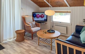 TV, fireplace - Amazing home in ålbæk with WiFi (Ålbæk)