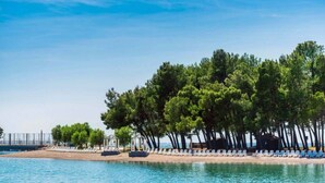 A beach with rows of sun loungers and a row of trees in the background. - Villa with pool for 6 people (Umag)