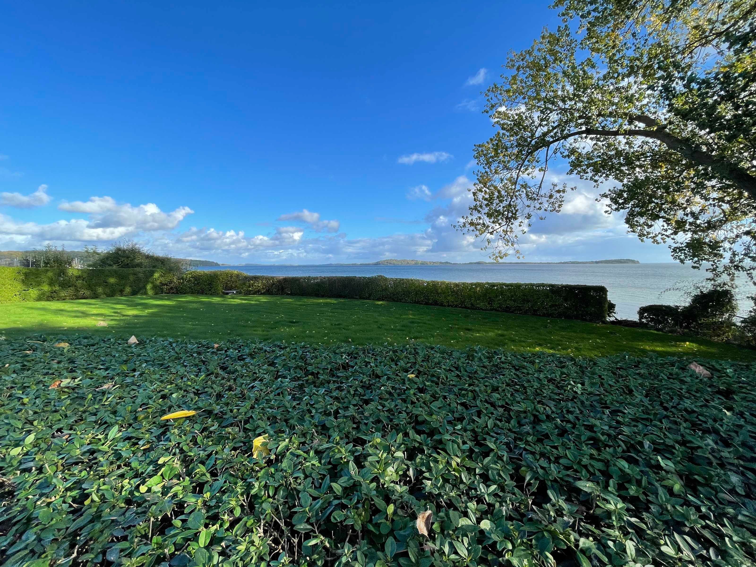 Een gazon met een haag en een boom, met uitzicht op een waterpartij en verafgelegen land.