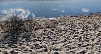 Valoisa 2 huoneen huoneisto Lauterbachissa lähellä vettä - Apartment 1 Vilmblick