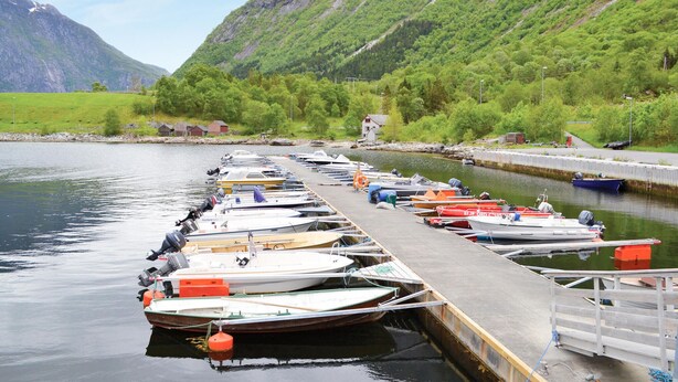 A dock with various boats moored, surrounded by greenery and mountains. - Pet friendly home in Eidfjord with WiFi (Eidfjord)