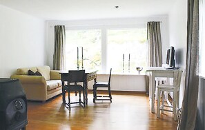 Una chimenea, un reproductor de DVD