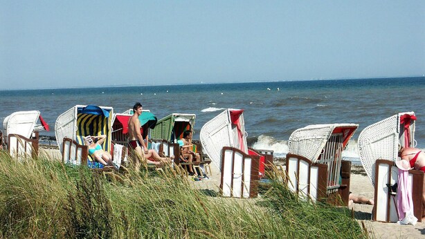Beach chairs lined up along the shore with the ocean in the background. - Pet friendly home in Süssau/Ostsee (Süssau/Ostsee)