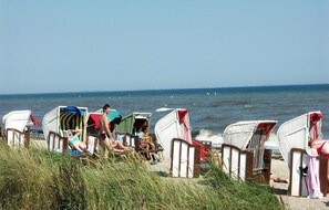 Des chaises de plage sont alignées le long du rivage, avec l’océan en toile de fond.