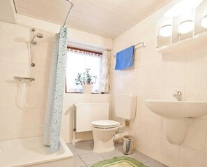 Shower, hair dryer