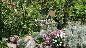 A garden with various plants and rocks. - Blue Water 2, Germany (Wustrow)