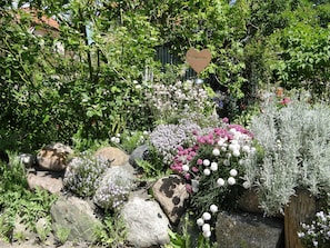 Un jardín con diversas plantas y rocas.