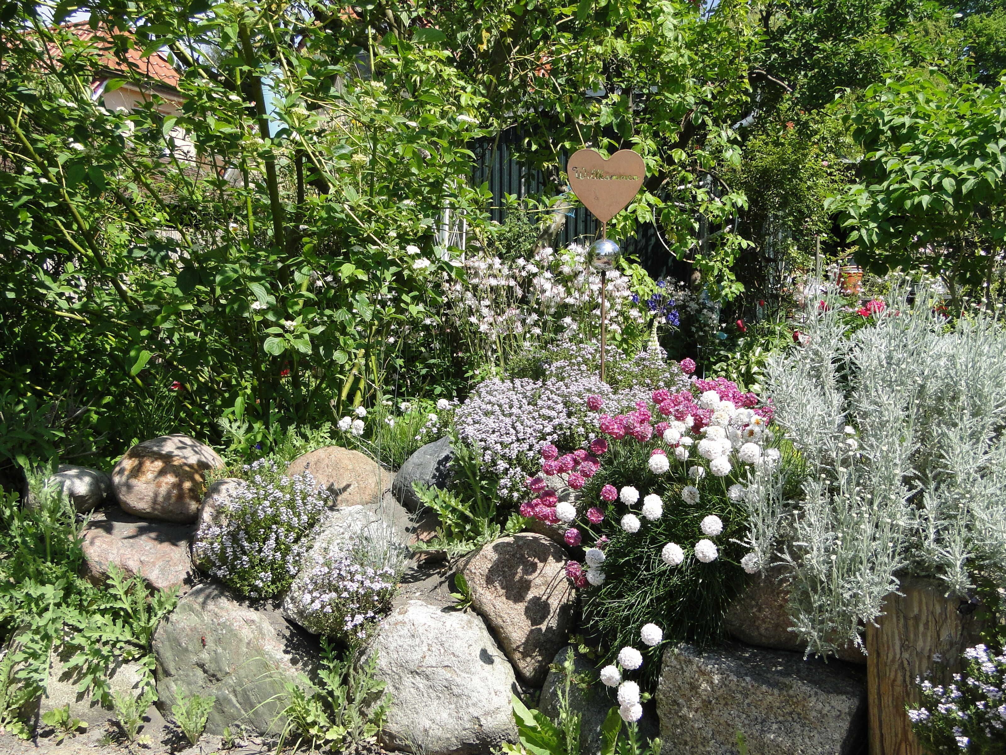Ein Garten mit verschiedenen Pflanzen und Steinen.
