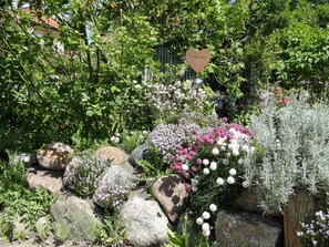 A garden with various plants and rocks. - Blue Water 2, Germany (Wustrow)