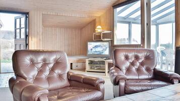 Fernseher, Kamin