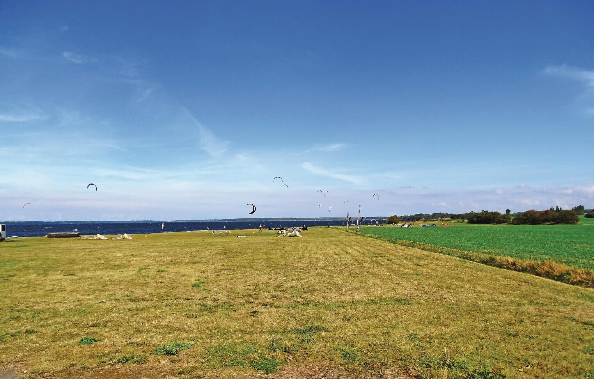 A grassy field with several tents and a clear view of the sea.