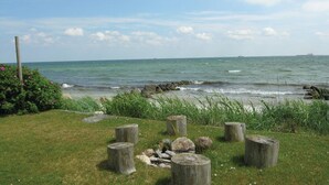 Une vue sur la côte, avec une zone herbeuse, des troncs d’arbres et un ciel dégagé.