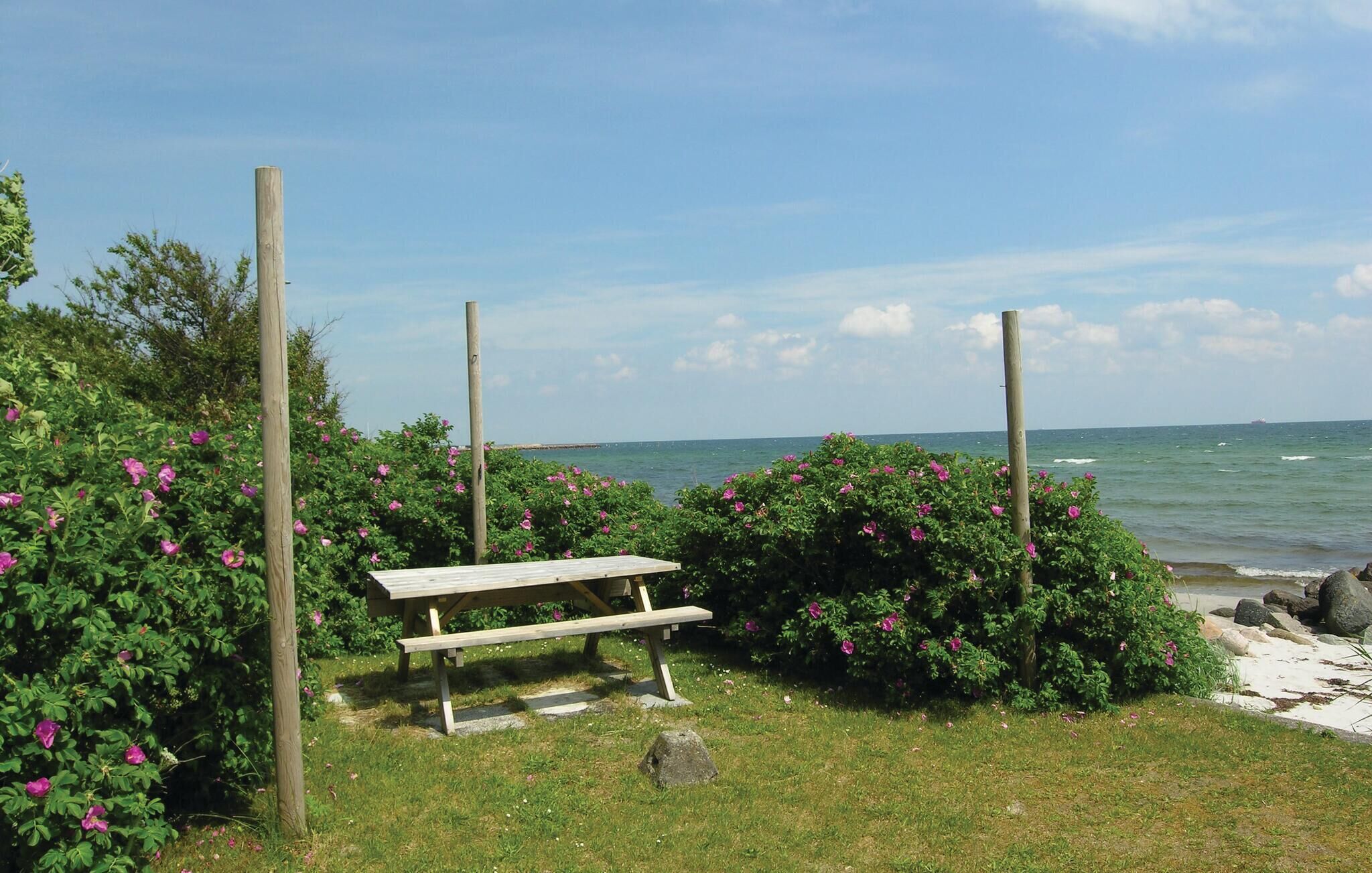 Un banco de madera en un jardín con flores rosadas y vistas al mar.