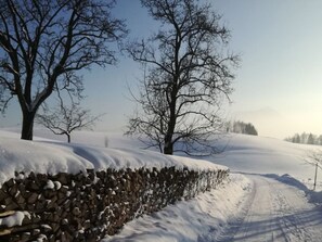 Miscellaneous - Dachsteinblick - Organic Farm Mondsee Family Schafleitner-Kroiß (3 Flowers) (Guggenberg)